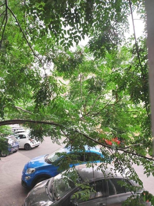 appartamento in affitto a Roma in zona Gianicolense