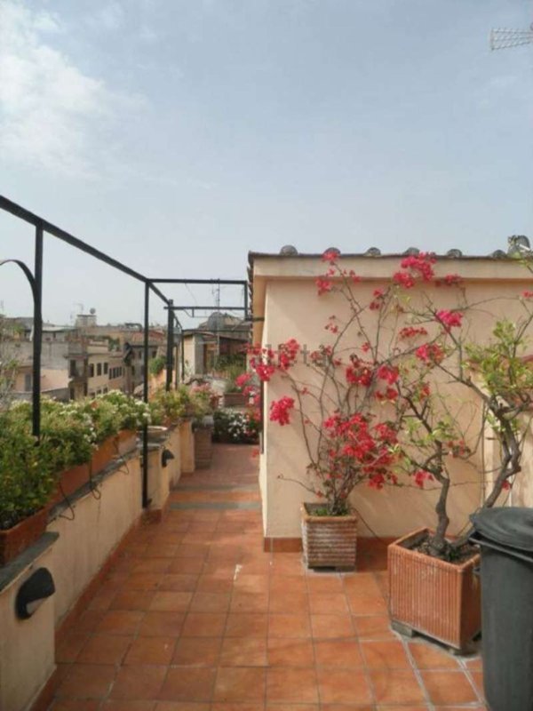 appartamento in affitto a Roma in zona Trastevere