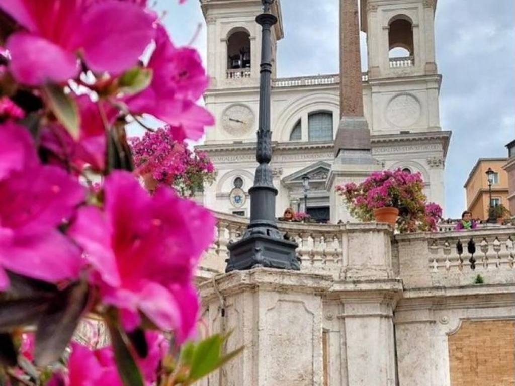 appartamento in affitto a Roma in zona Campo Marzio