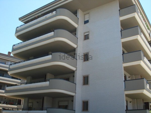 appartamento in affitto a Roma in zona Trionfale