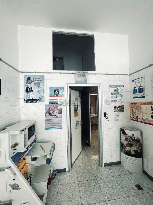 locale commerciale in affitto a Roma in zona Appio Latino