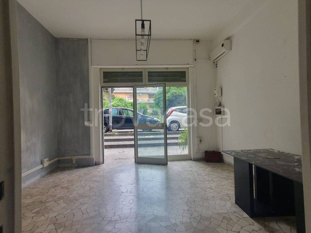 appartamento in affitto a Roma in zona Monte Sacro/Talenti