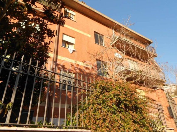 appartamento in affitto a Roma in zona Flaminio