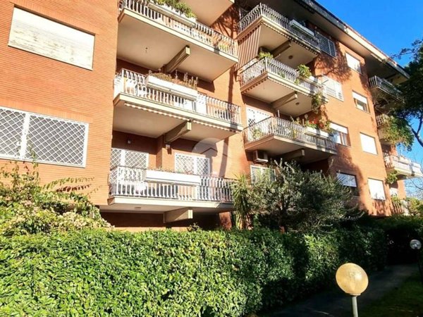 appartamento in affitto a Roma in zona Giuliano Dalmata