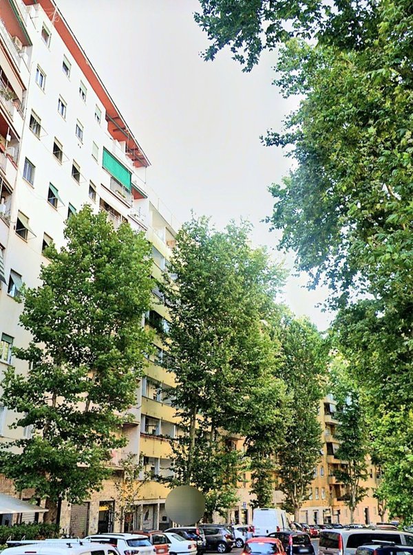 appartamento in affitto a Roma in zona Monte Sacro/Talenti