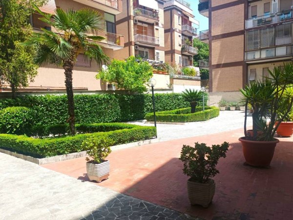 appartamento in affitto a Roma in zona Monte Sacro/Talenti