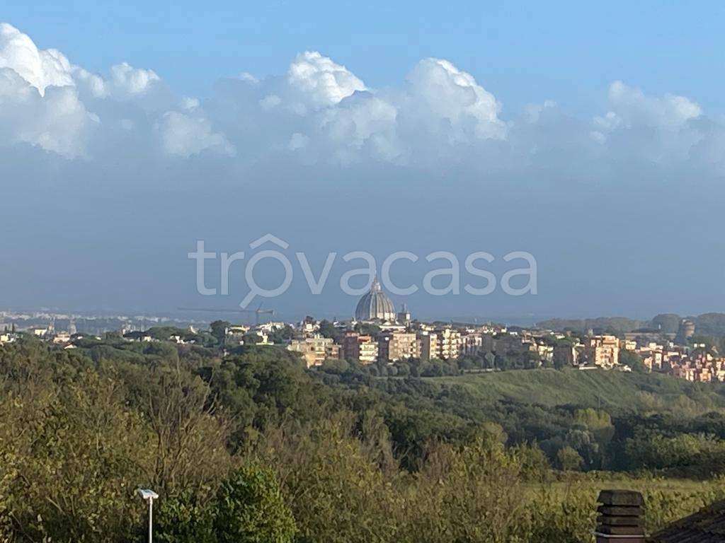 appartamento in affitto a Roma in zona Primavalle