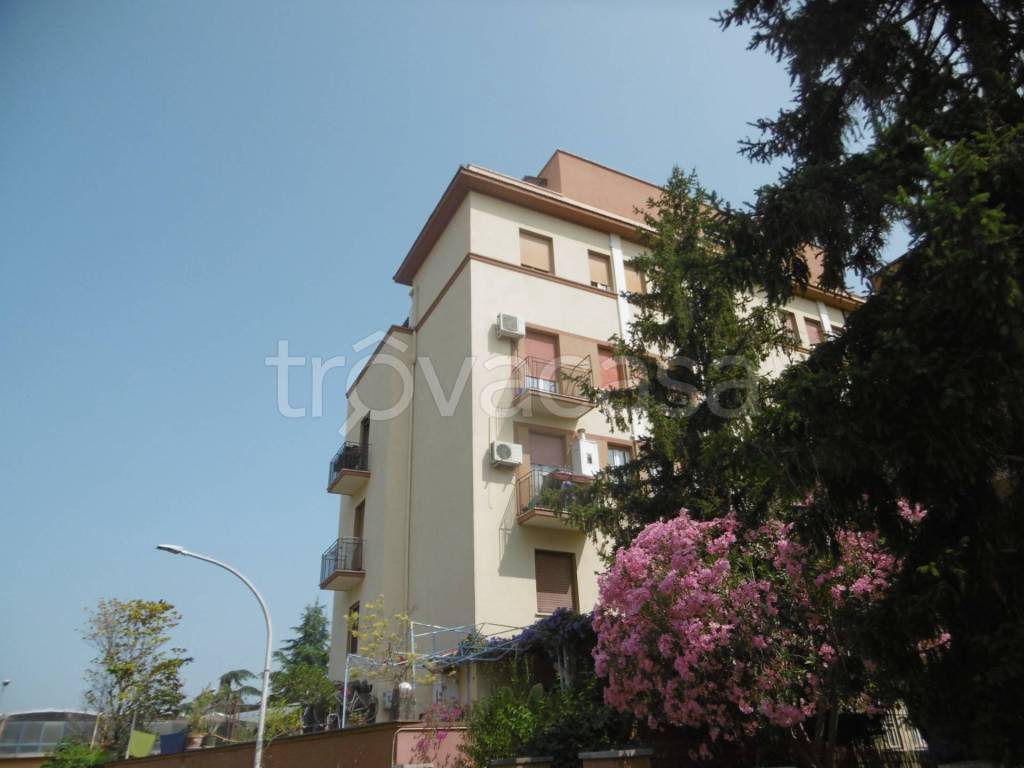 appartamento in affitto a Roma in zona Monte Sacro/Talenti
