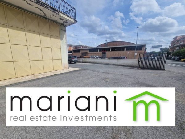 trivano in affitto a Roma in zona Romanina