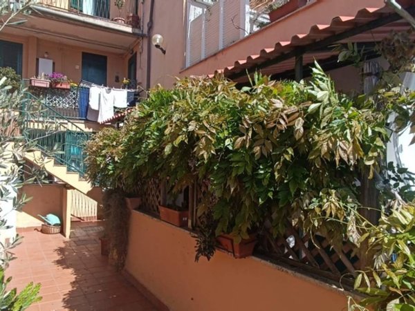 appartamento in affitto a Roma in zona Appio Latino