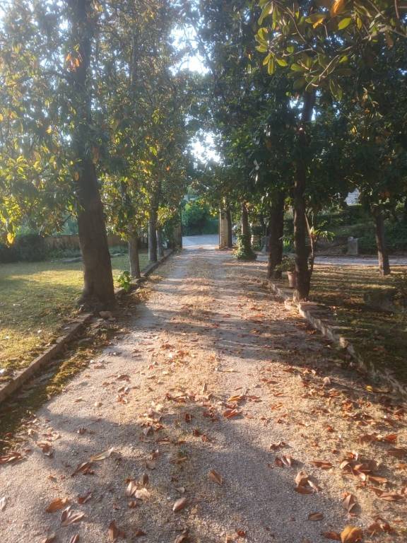 appartamento in affitto a Roma in zona Flaminio