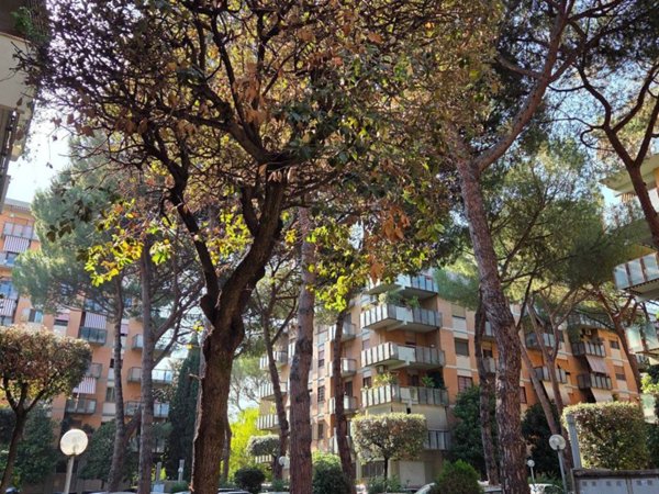 appartamento in affitto a Roma in zona Ardeatino