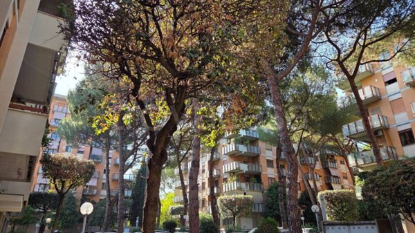 appartamento in affitto a Roma in zona Ardeatino