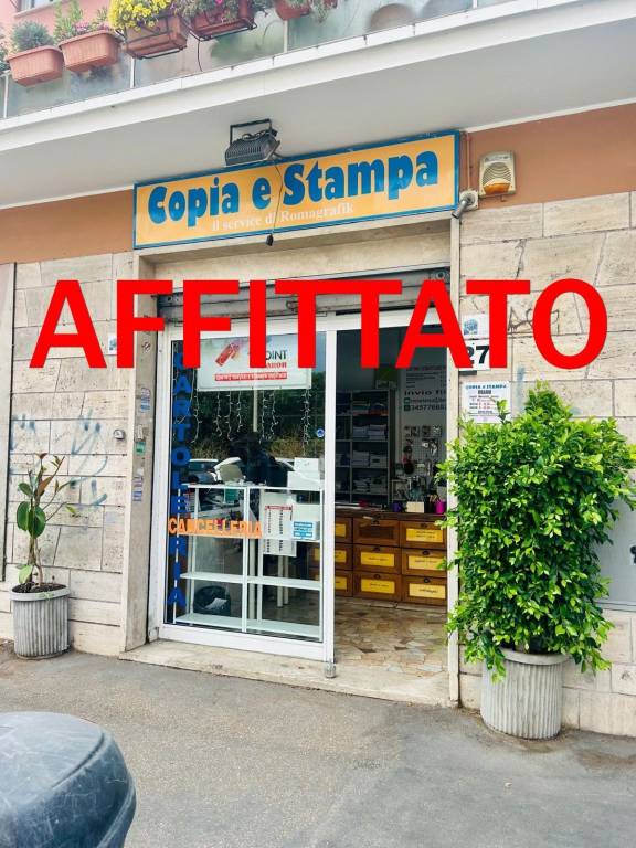 monolocale in affitto a Roma in zona Gianicolense