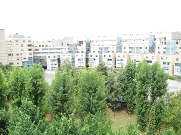 appartamento in affitto a Roma in zona EUR
