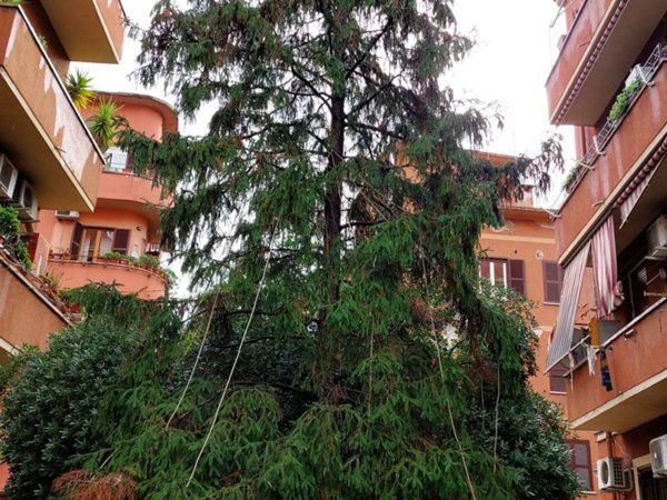 appartamento in affitto a Roma in zona Ostiense