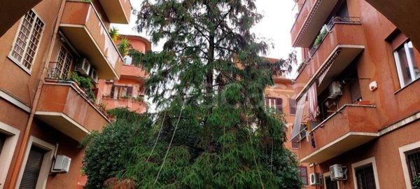appartamento in affitto a Roma in zona Ostiense