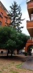 appartamento in affitto a Roma in zona Ostiense