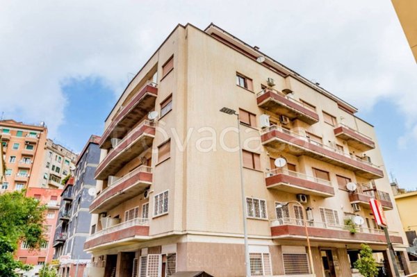 appartamento in affitto a Roma in zona Nomentano