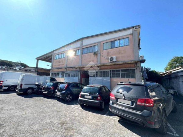 negozio in affitto a Roma in zona Portuense