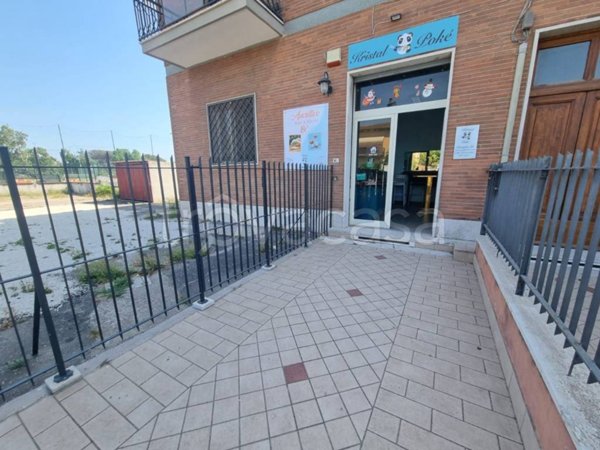 appartamento in affitto a Roma in zona Ostia Antica