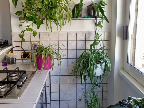 appartamento in affitto a Roma in zona Portuense