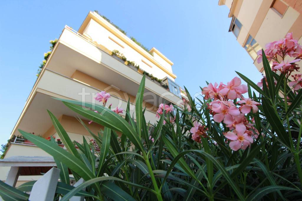 appartamento in affitto a Roma in zona Torrevecchia
