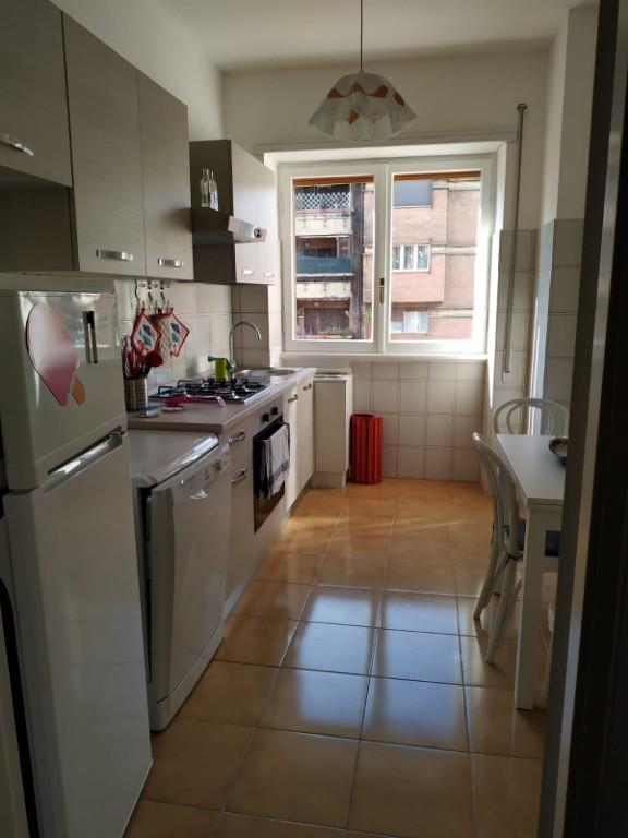 appartamento in affitto a Roma