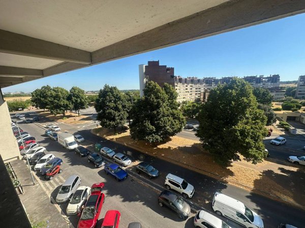 appartamento in affitto a Roma in zona Giuliano Dalmata