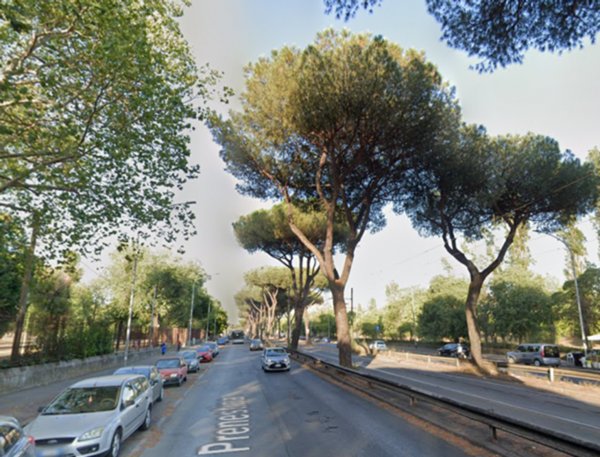 casa indipendente in affitto a Roma in zona Prenestino-Labicano