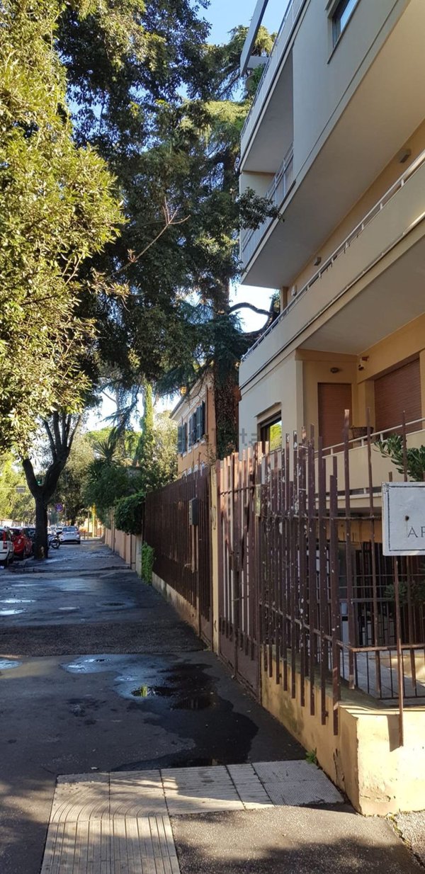 appartamento in affitto a Roma in zona Parioli
