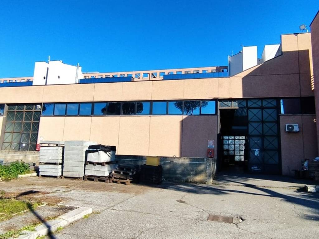 loft in affitto a Roma in zona Romanina