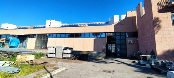 loft in affitto a Roma in zona Romanina