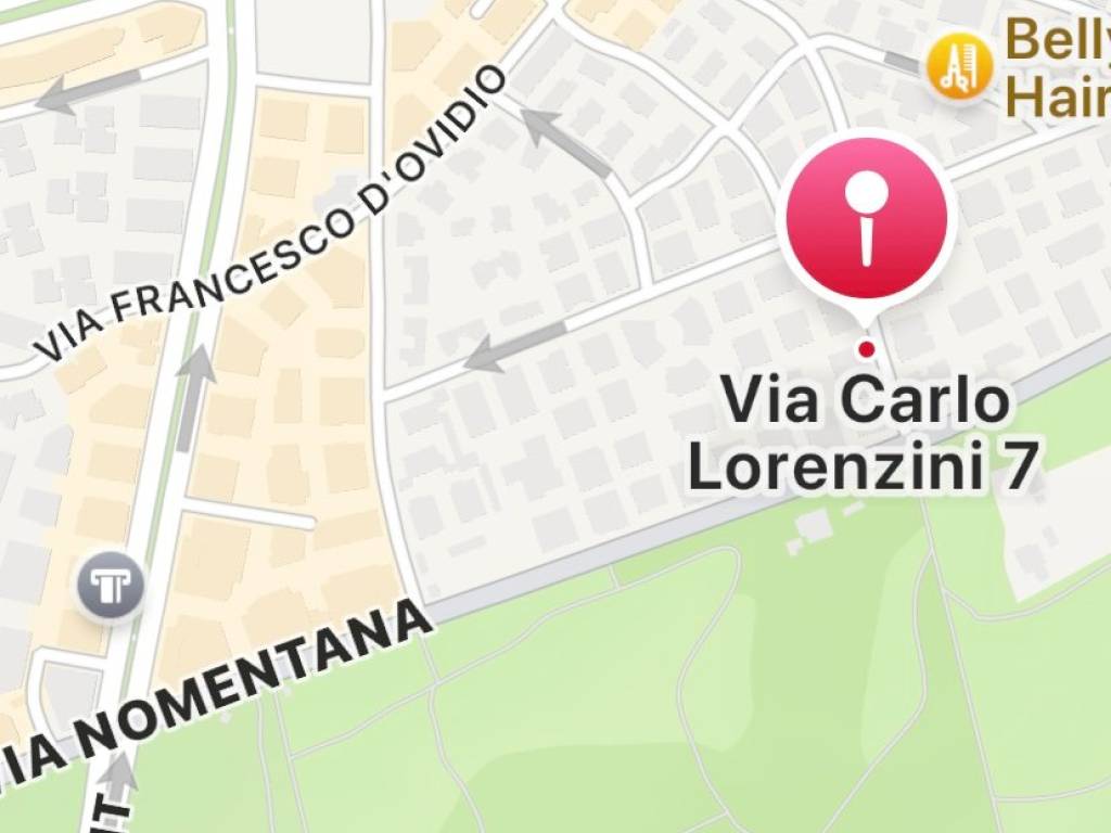 appartamento in affitto a Roma in zona Monte Sacro/Talenti