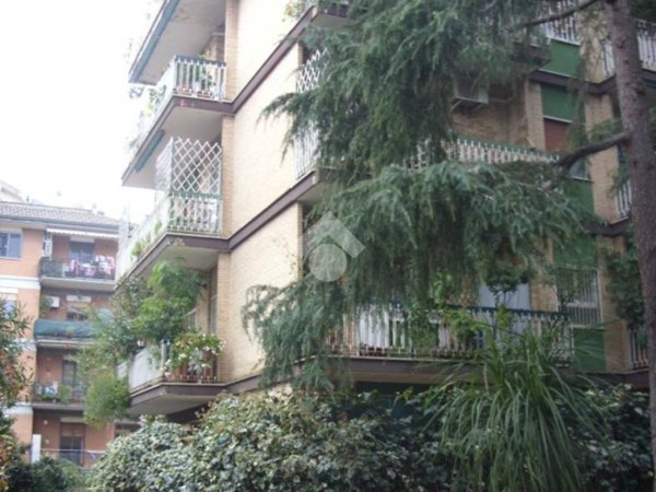 appartamento in affitto a Roma in zona Collatino