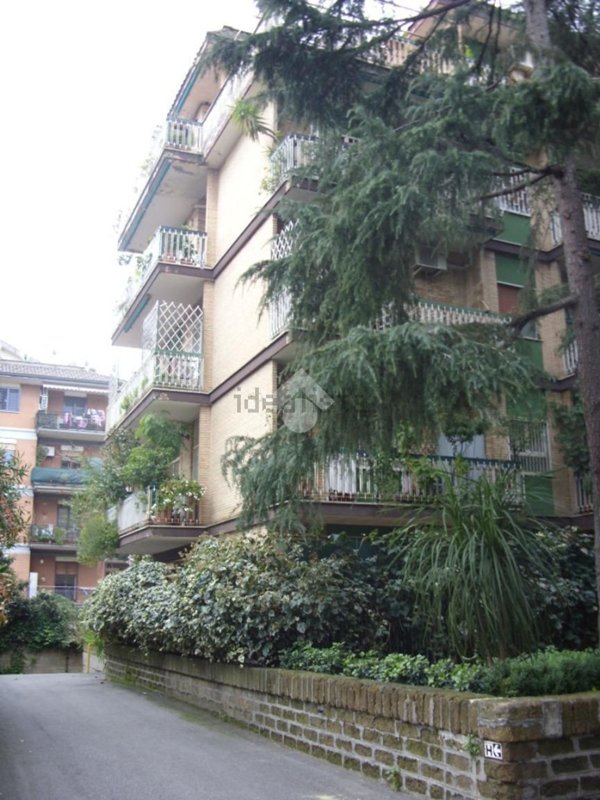 appartamento in affitto a Roma in zona Collatino