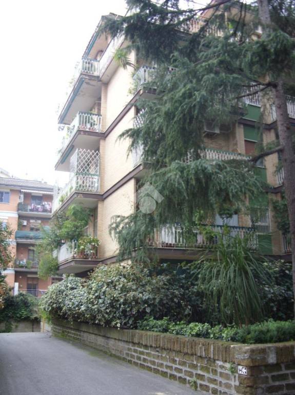 appartamento in affitto a Roma in zona Pietralata