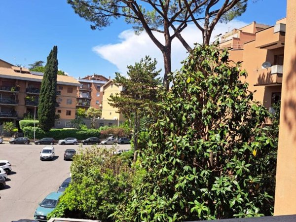 appartamento in affitto a Roma in zona Monte Sacro/Talenti