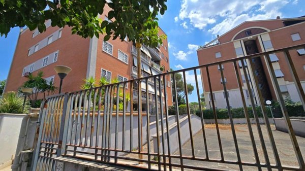 appartamento in affitto a Roma in zona Monte Sacro/Talenti