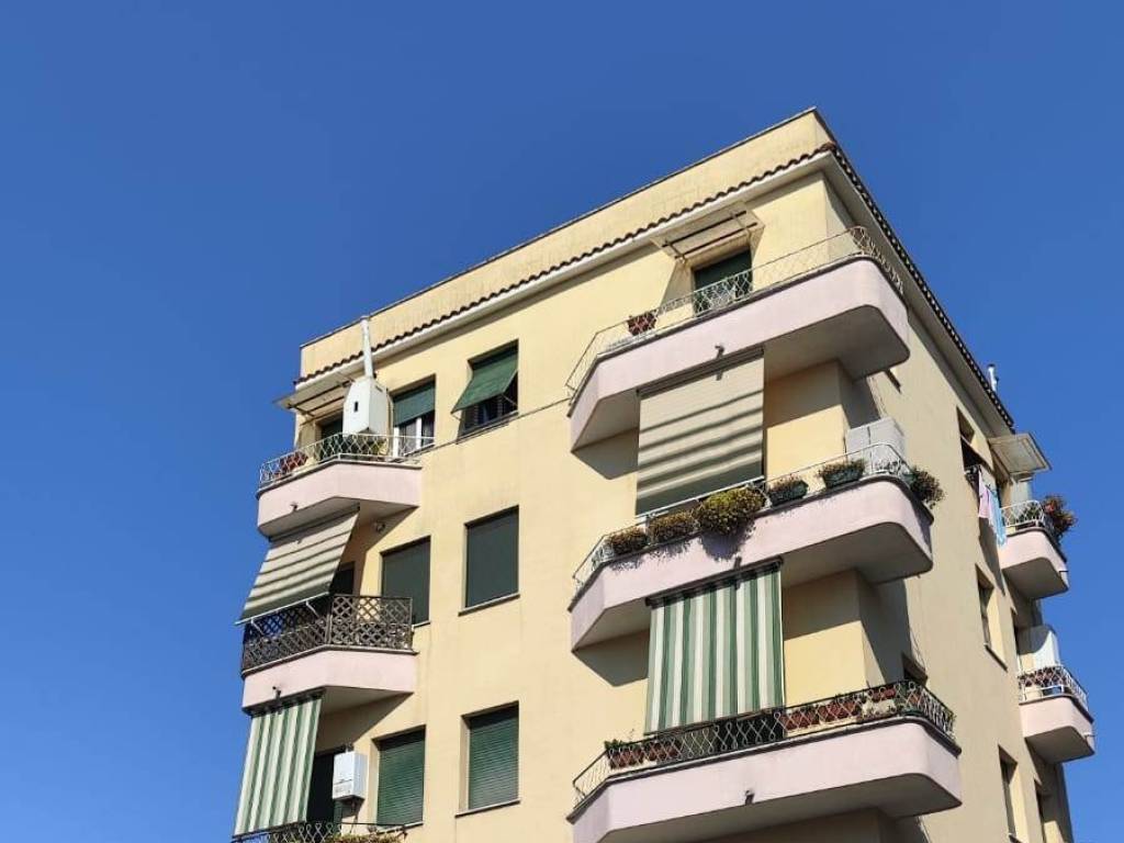 appartamento in affitto a Roma in zona Monte Sacro/Talenti