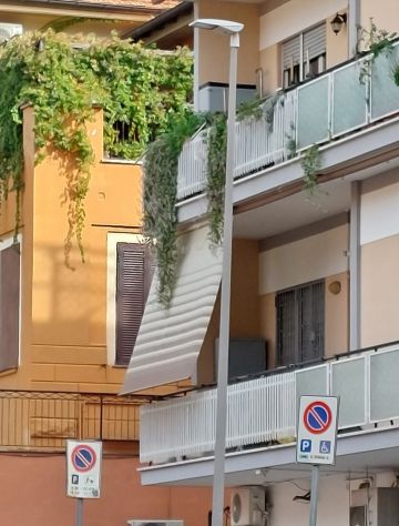 camera singola in affitto a Roma in zona Trionfale
