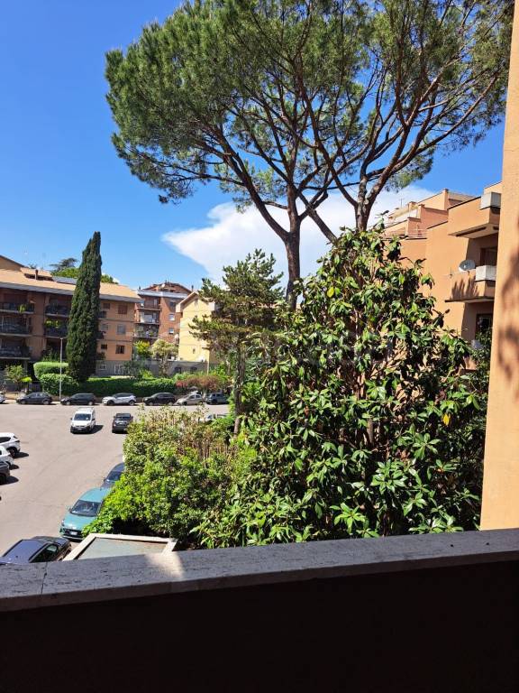 appartamento in affitto a Roma in zona Monte Sacro/Talenti