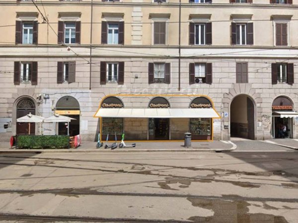 negozio in affitto a Roma in zona Flaminio