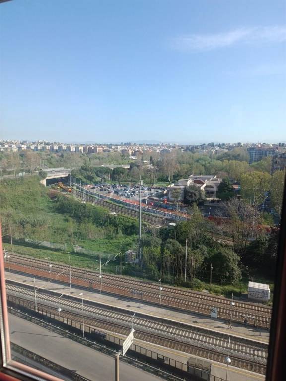 appartamento in affitto a Roma in zona Trieste