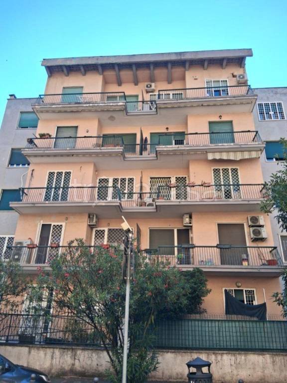 appartamento in affitto a Roma in zona Nomentano
