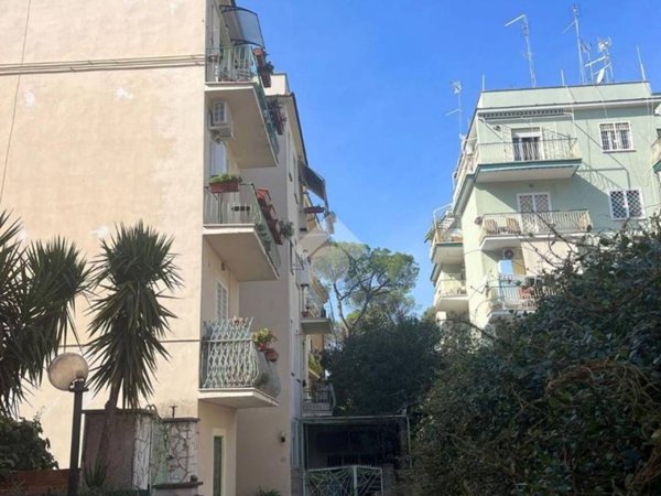 appartamento in affitto a Roma in zona Monte Sacro/Talenti