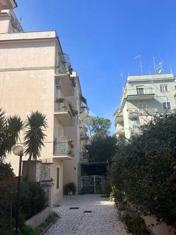appartamento in affitto a Roma in zona Monte Sacro/Talenti