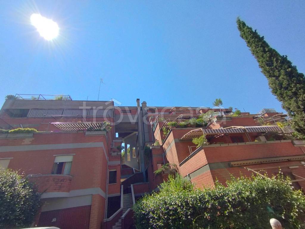 monolocale in affitto a Roma in zona Prima Porta