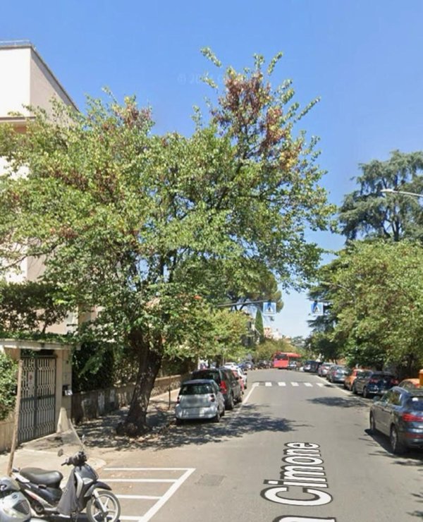 appartamento in affitto a Roma in zona Monte Sacro/Talenti