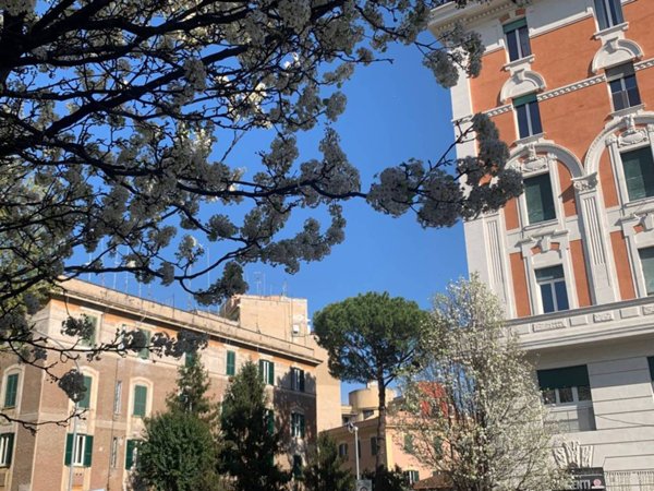appartamento in affitto a Roma in zona Aurelio